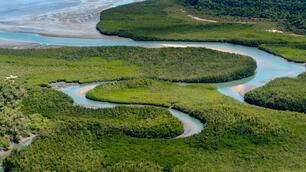 Sailing boat cruise to the Bijagos Islands. Aerial view of sheltered anchorages in inlets and mangroves.